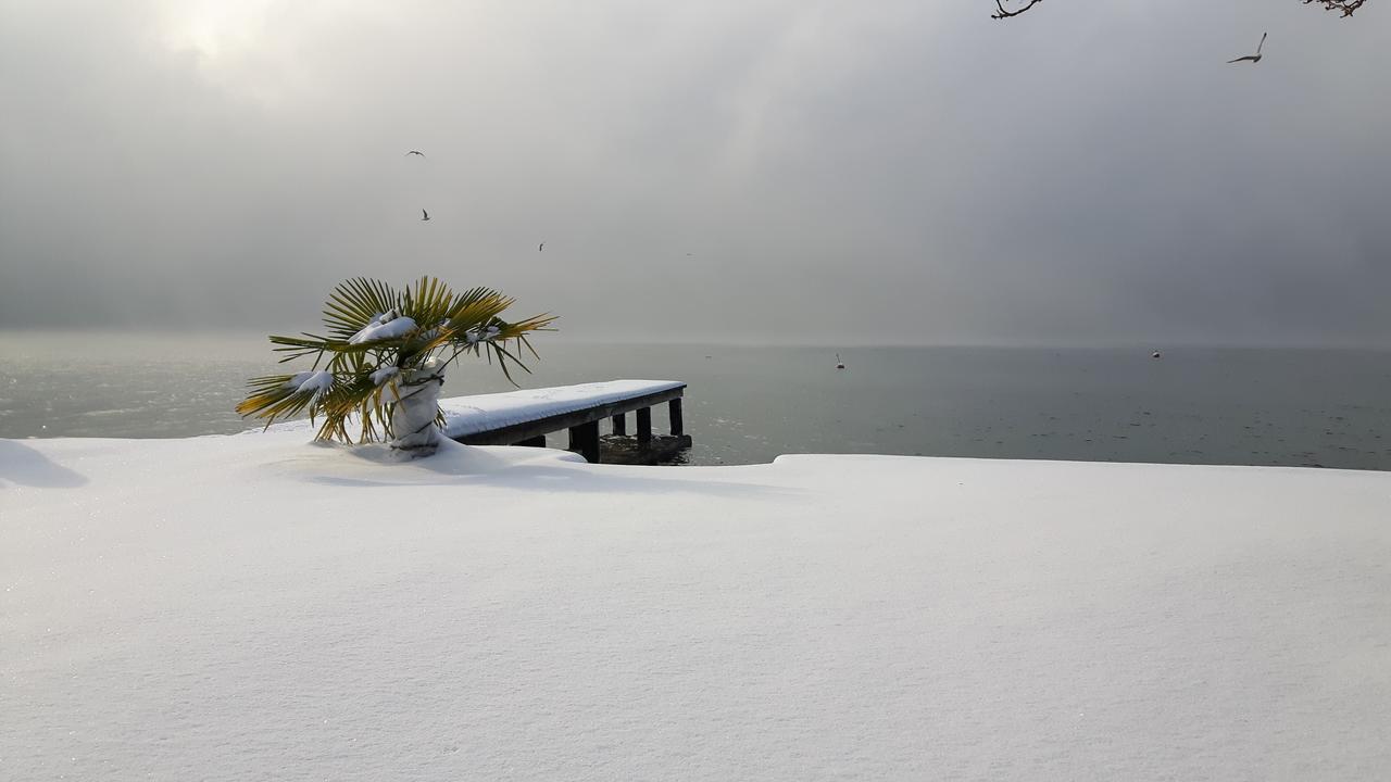 Hotel-Pension Stallinger Weyregg am Attersee Dış mekan fotoğraf